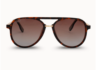 Earhart Polarized Sunglasses